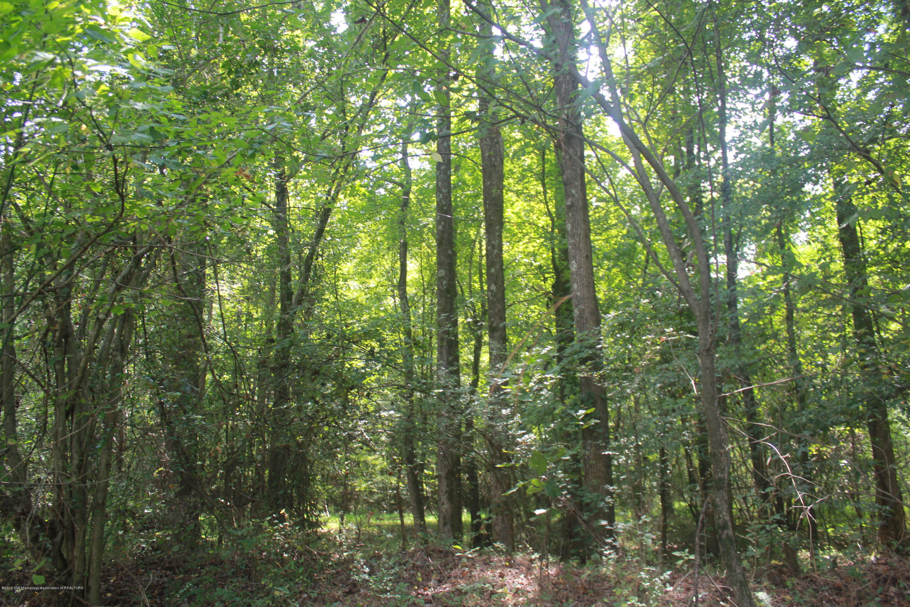 78 Springfield Road Senatobia, MS 38668 - Photo 25 of 30 158