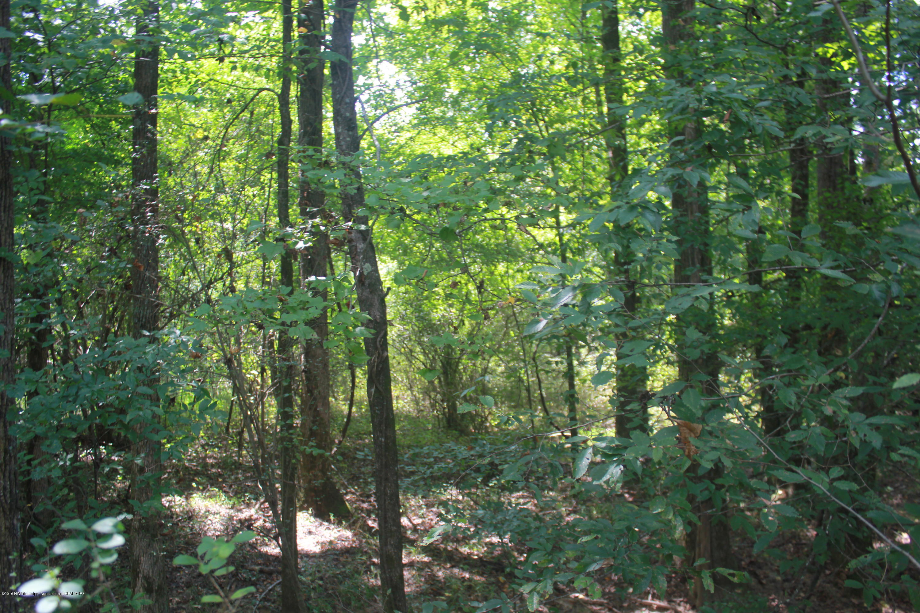 78 Springfield Road Senatobia, MS 38668 - Photo 26 of 30 159