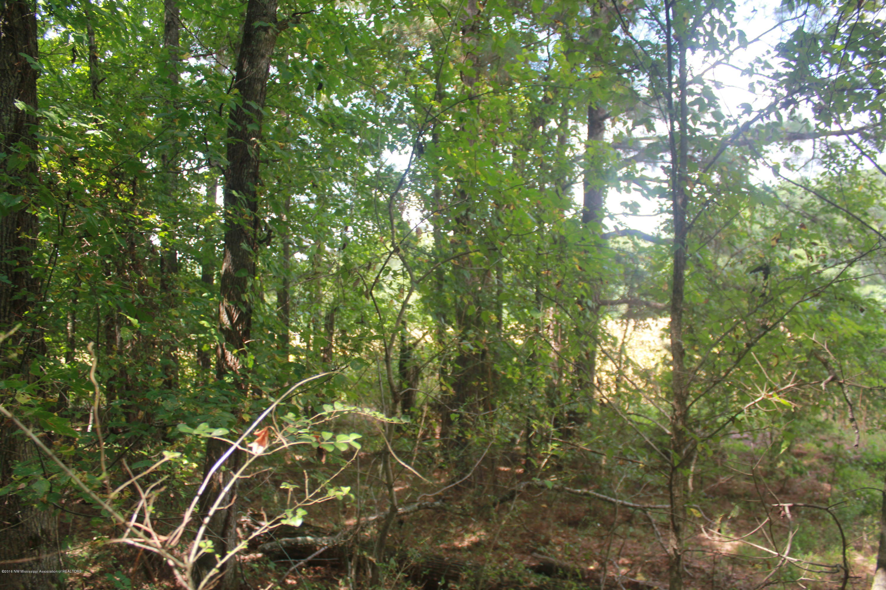 78 Springfield Road Senatobia, MS 38668 - Photo 27 of 30 160