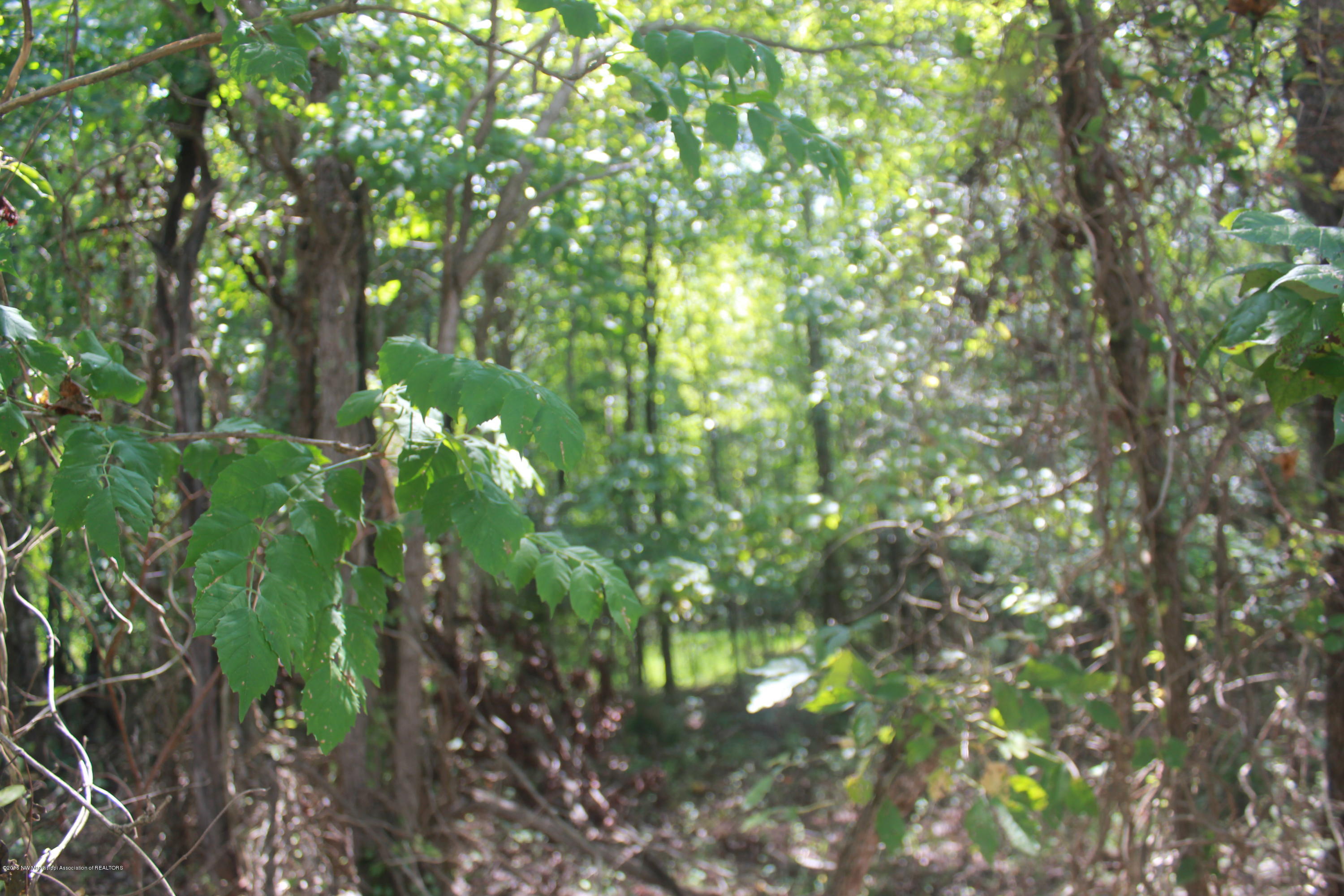 78 Springfield Road Senatobia, MS 38668 - Photo 28 of 30 161