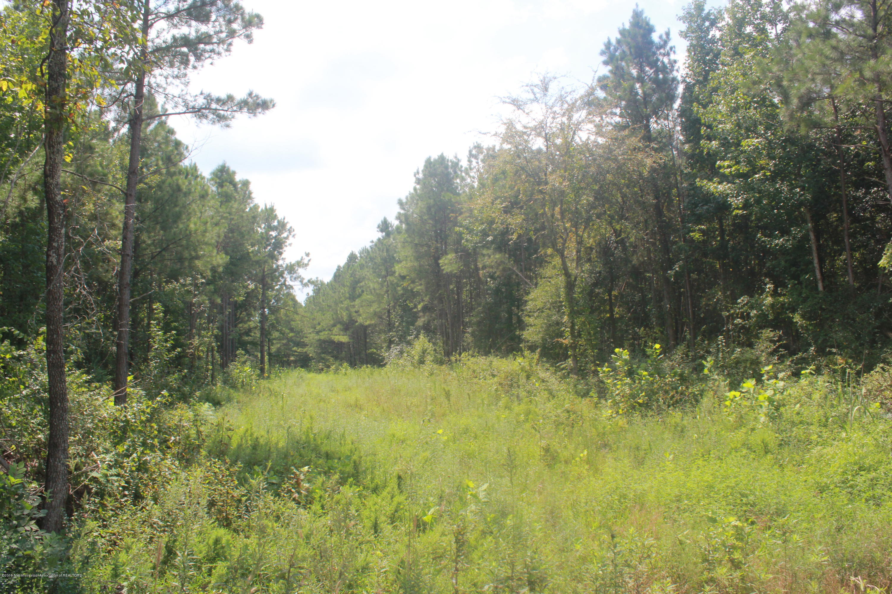 78 Springfield Road Senatobia, MS 38668 - Photo 30 of 30 163