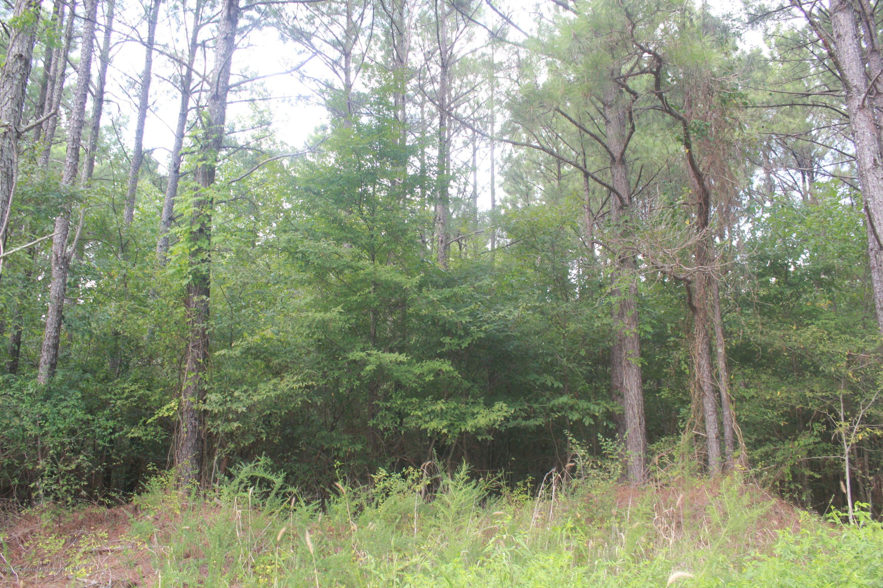 78 Springfield Road Senatobia, MS 38668 - Photo 3 of 30 136