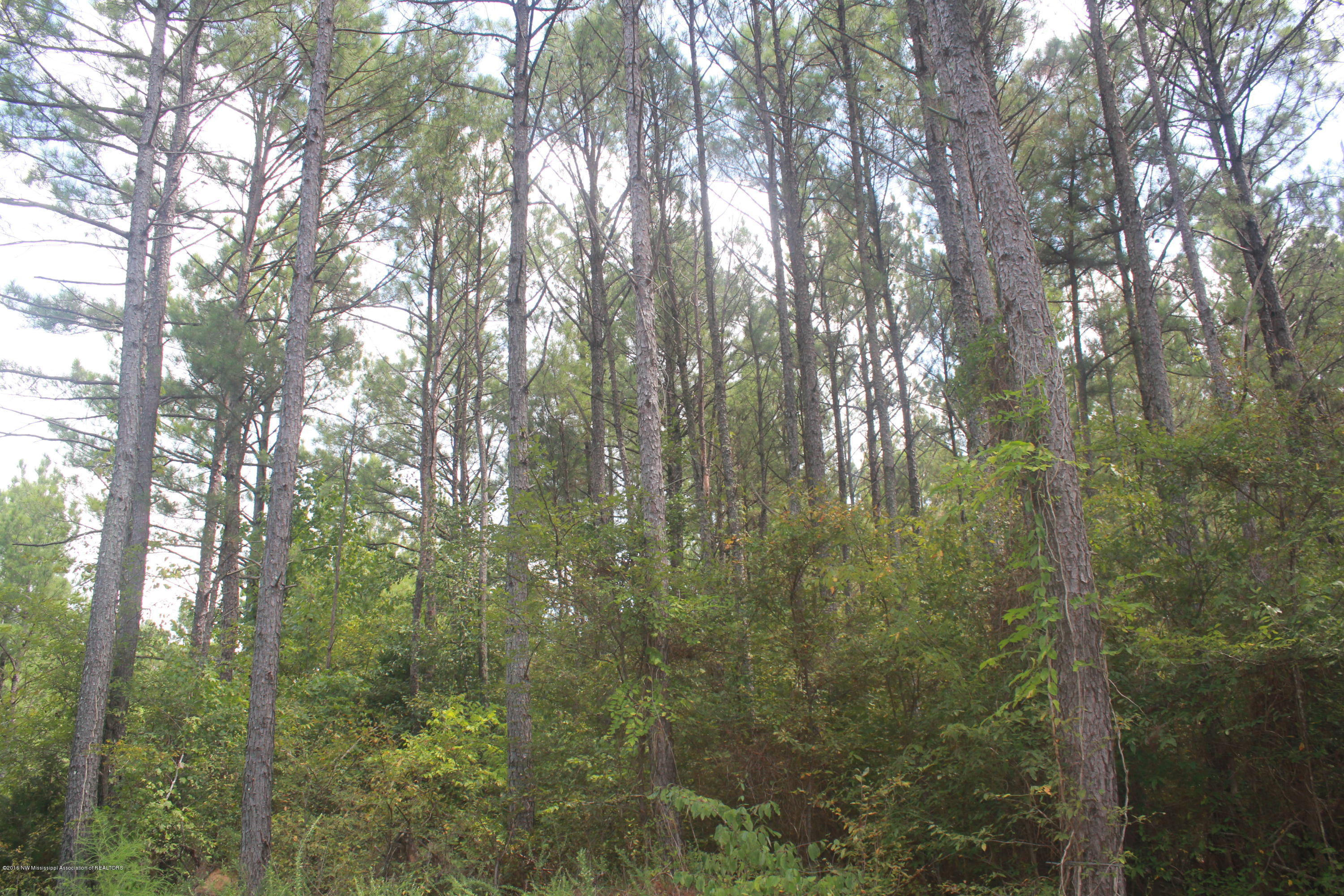78 Springfield Road Senatobia, MS 38668 - Photo 4 of 30 137