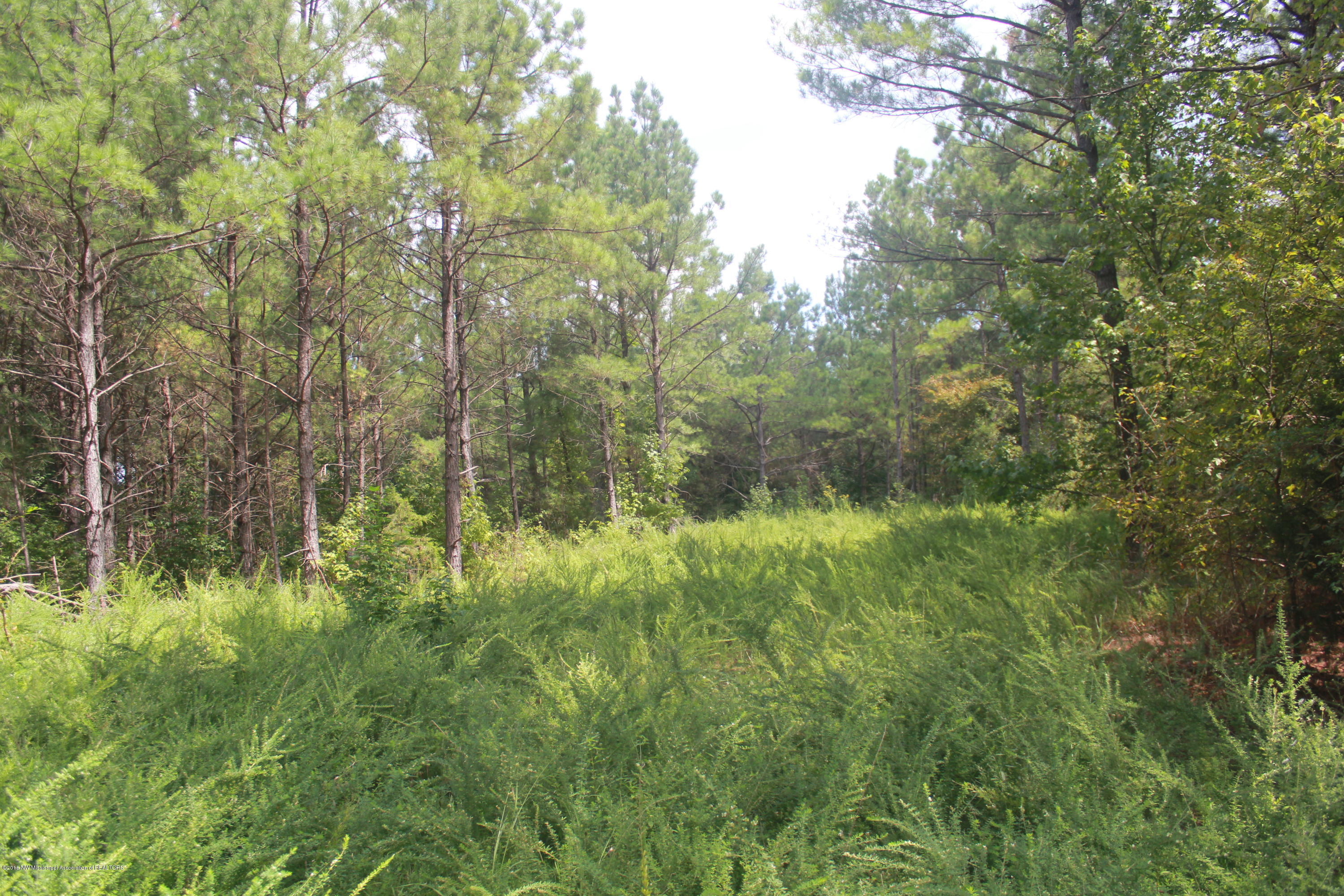 78 Springfield Road Senatobia, MS 38668 - Photo 5 of 30 138