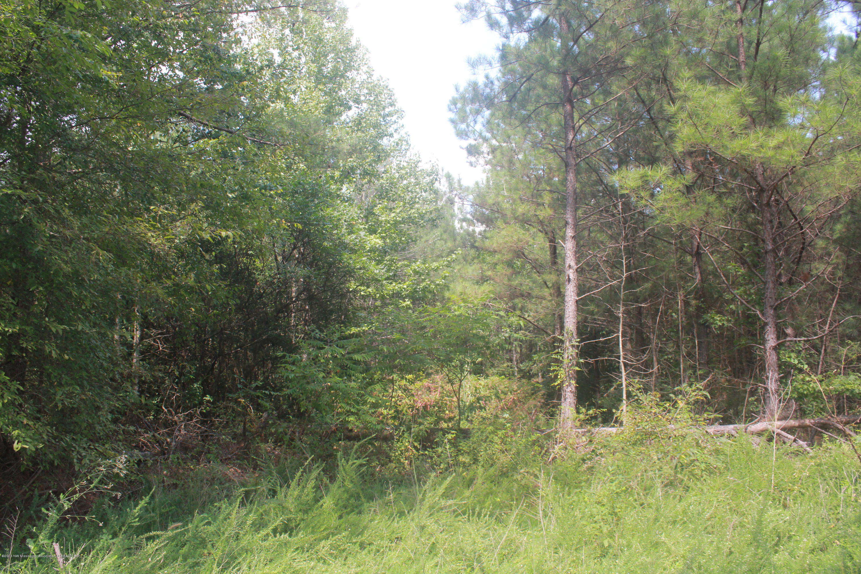 78 Springfield Road Senatobia, MS 38668 - Photo 6 of 30 139
