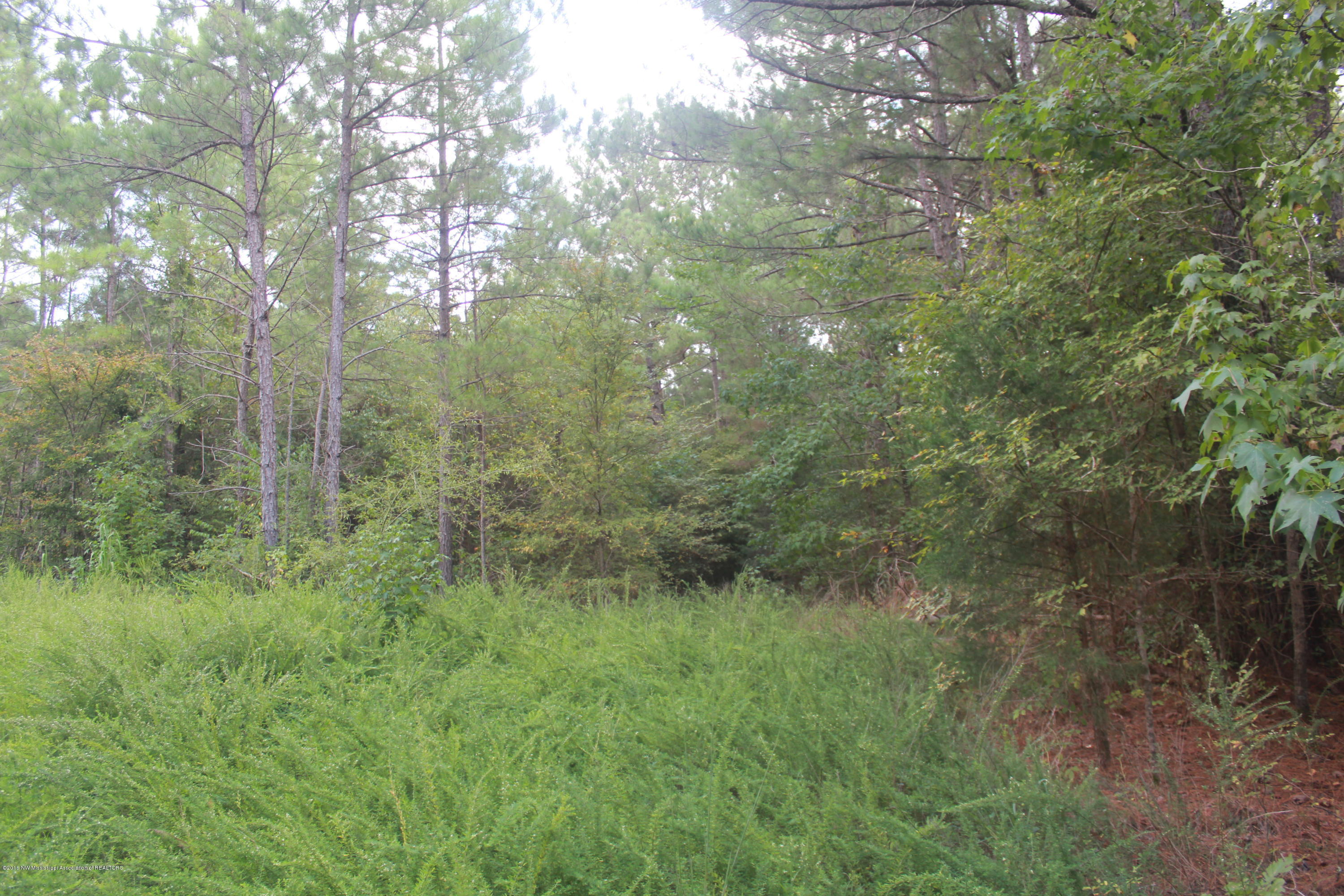78 Springfield Road Senatobia, MS 38668 - Photo 7 of 30 140
