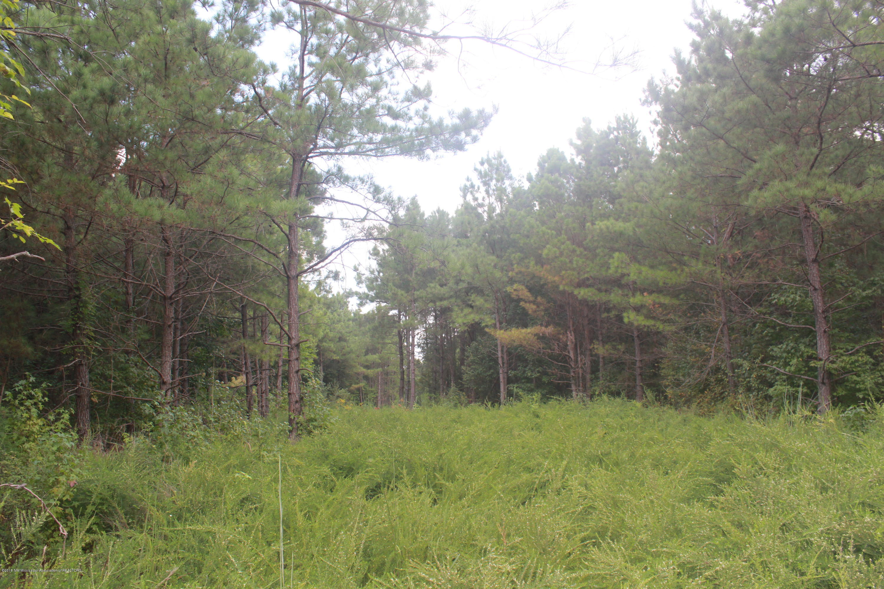 78 Springfield Road Senatobia, MS 38668 - Photo 8 of 30 141