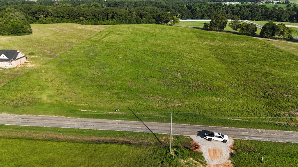 Lot 11 County Road 9 Newton, AL 36352 - Photo 3 of 12