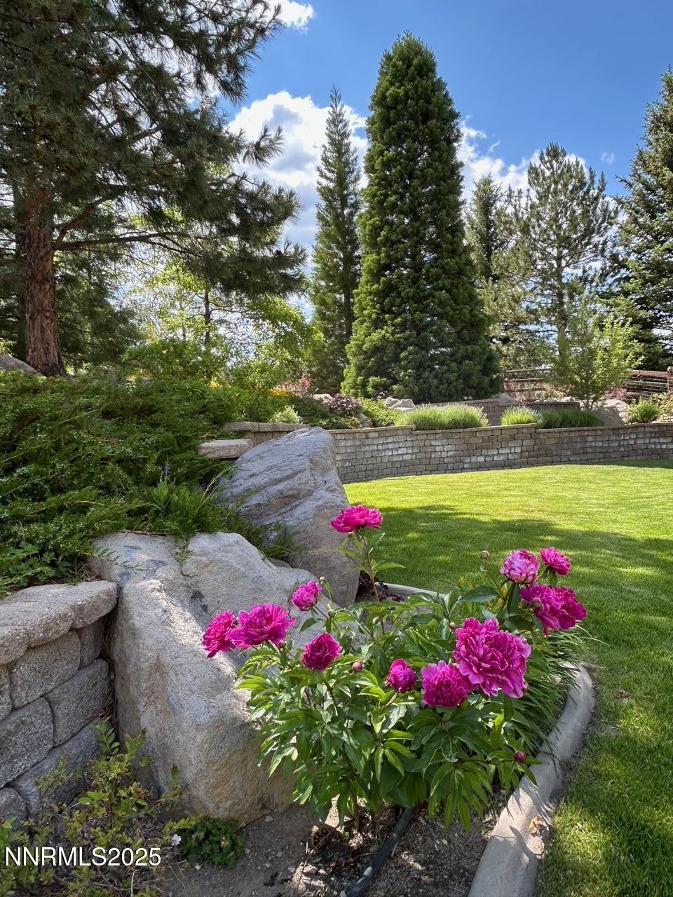 14275 Black Eagle Court Reno, NV 89511 - Photo 61 of 64 Black Eagle Backyard Kathy 3