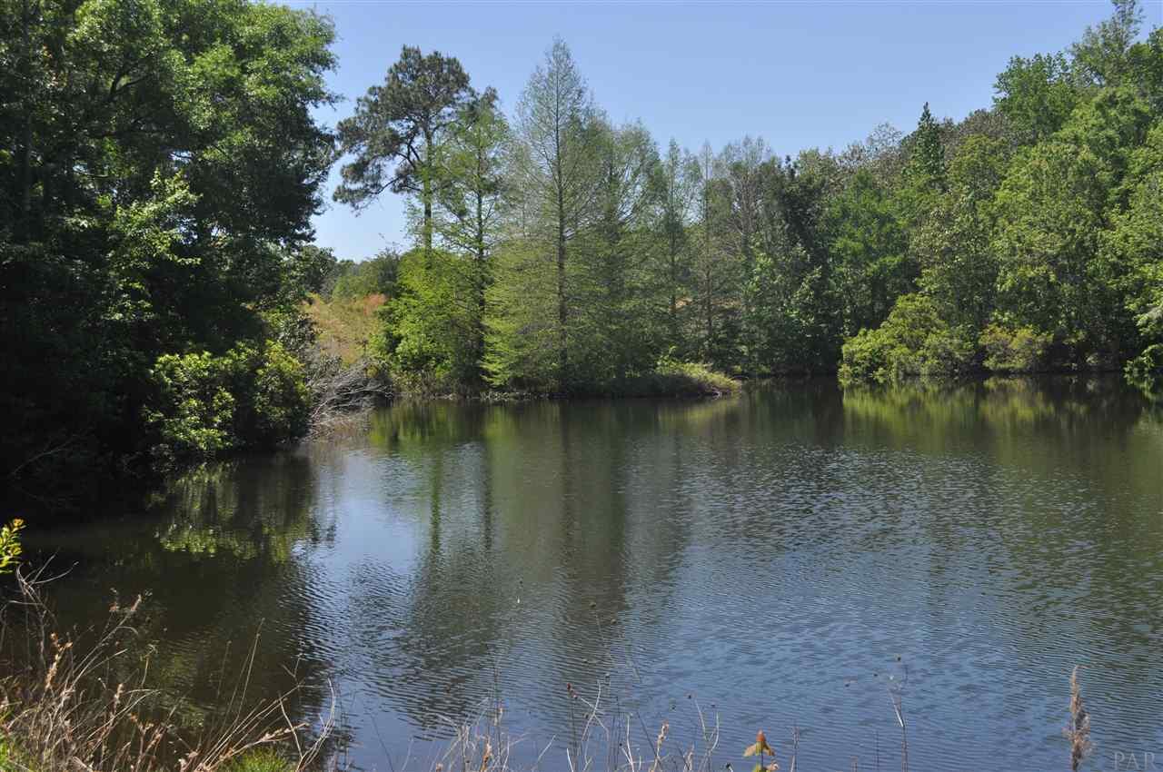 5990 Fairground Road Molino, FL 32577 - Photo 39 of 50 Gallery Image 39