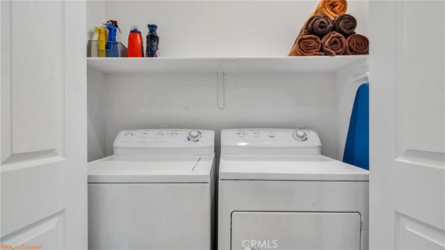 a view of a tree with plant in front of it