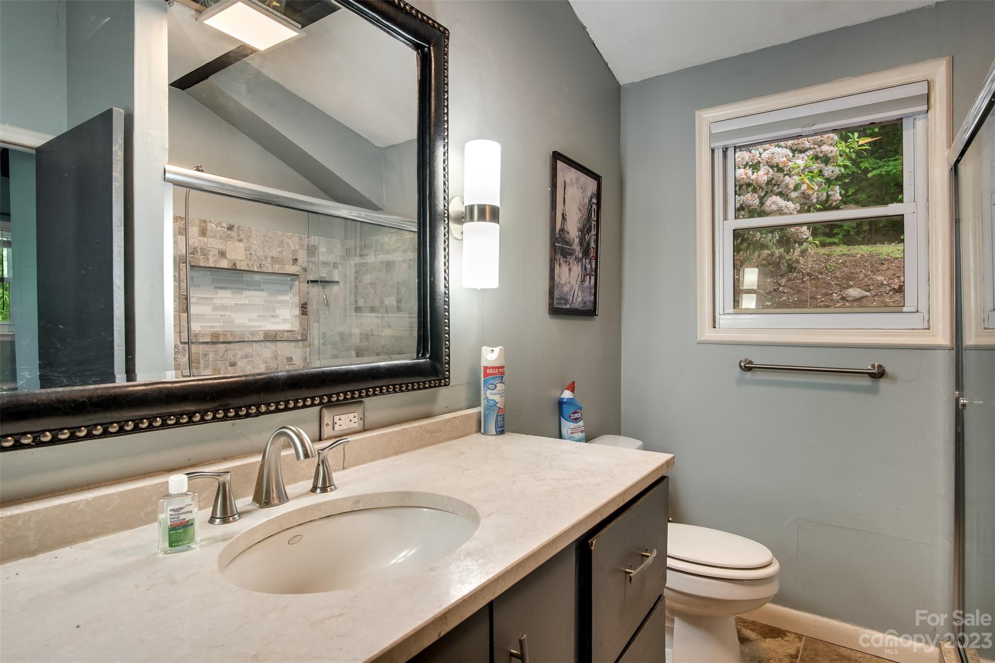 21 Turtle Rock Lane Tuckasegee, NC 28783 - Photo 11 of 32 a bathroom with a granite countertop sink a toilet and a mirror
