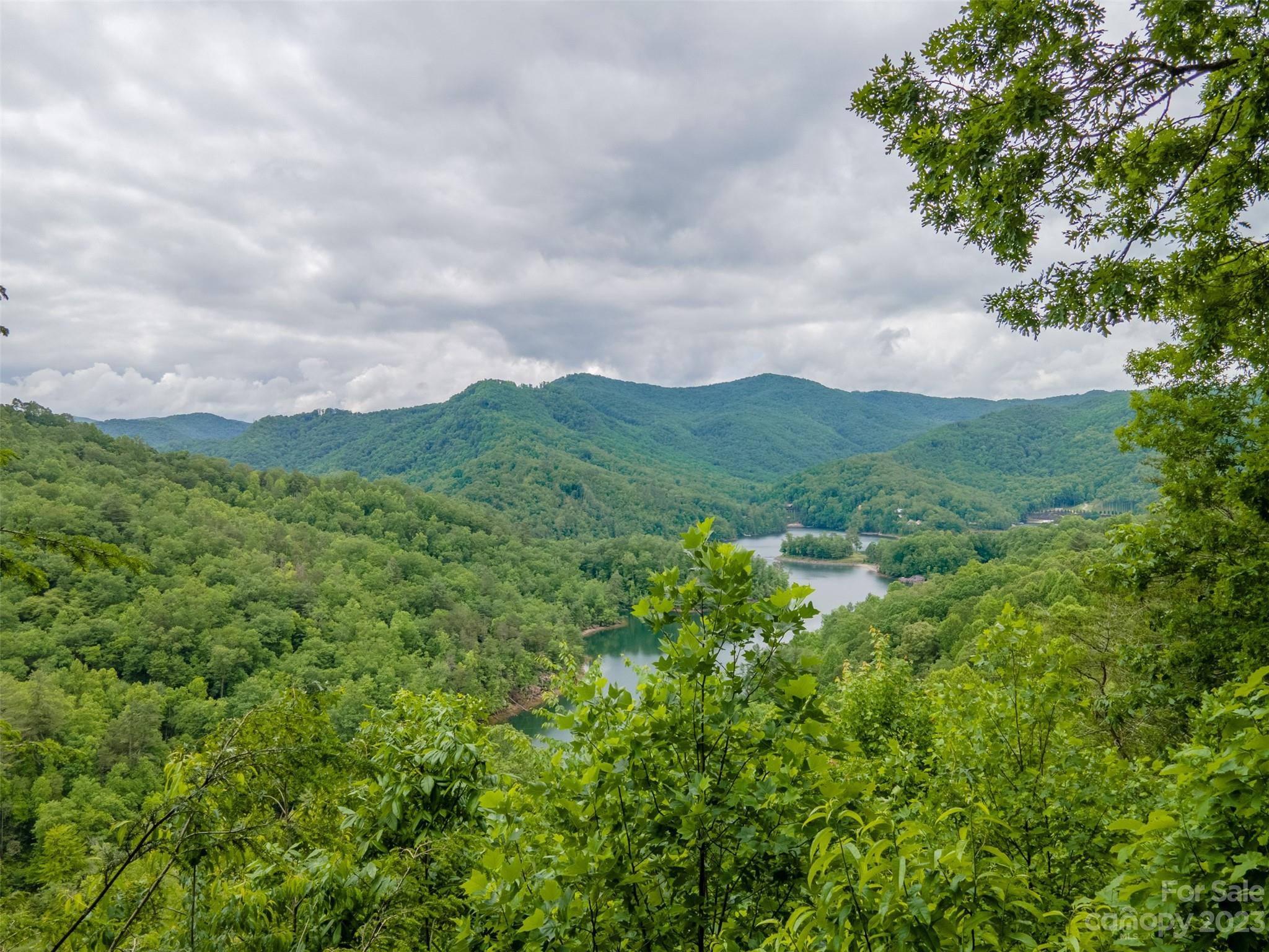 21 Turtle Rock Lane Tuckasegee, NC 28783 - Photo 30 of 32 a view of a lush green mountain