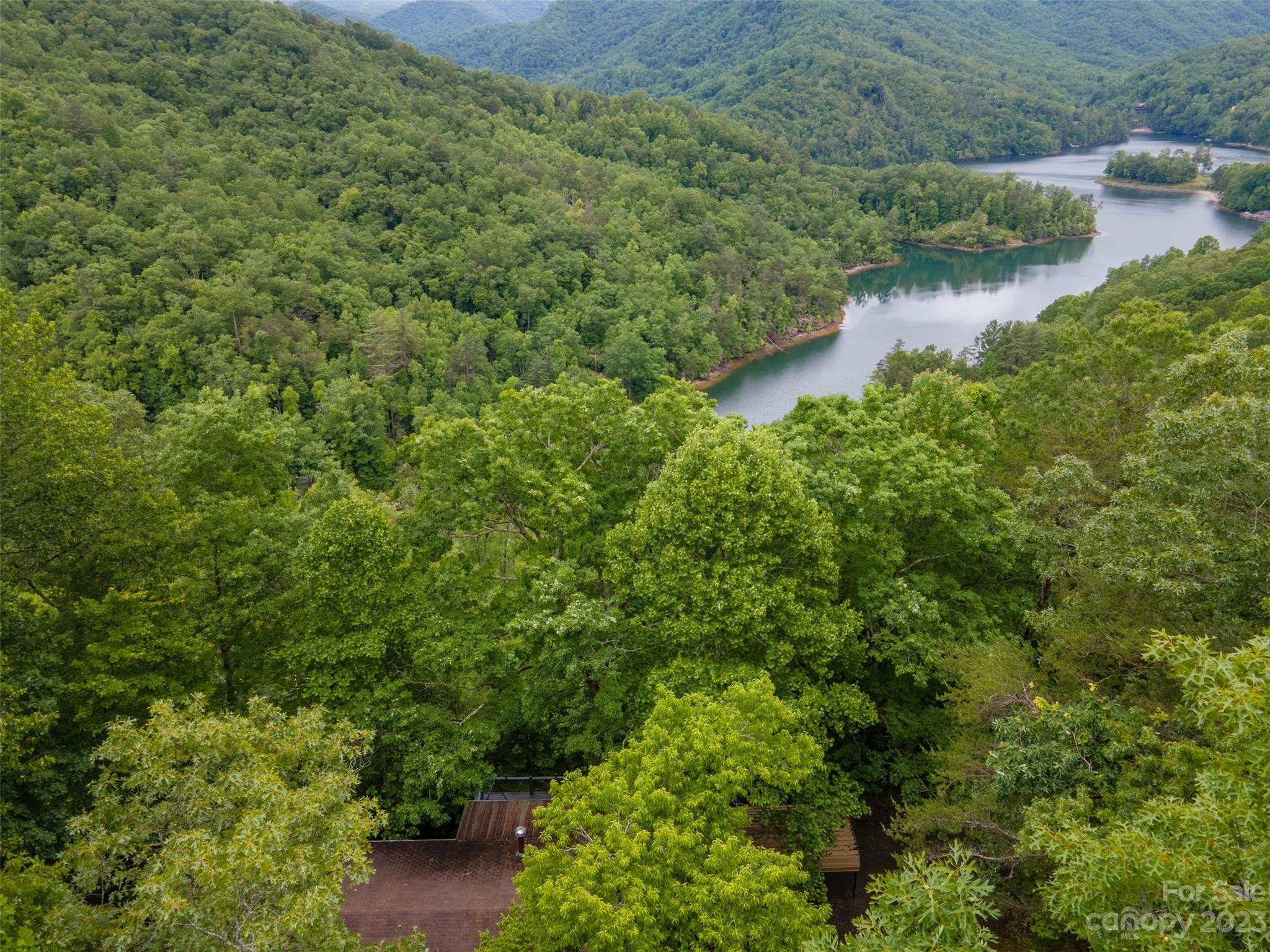 21 Turtle Rock Lane Tuckasegee, NC 28783 - Photo 32 of 32 a view of a forest with a lake
