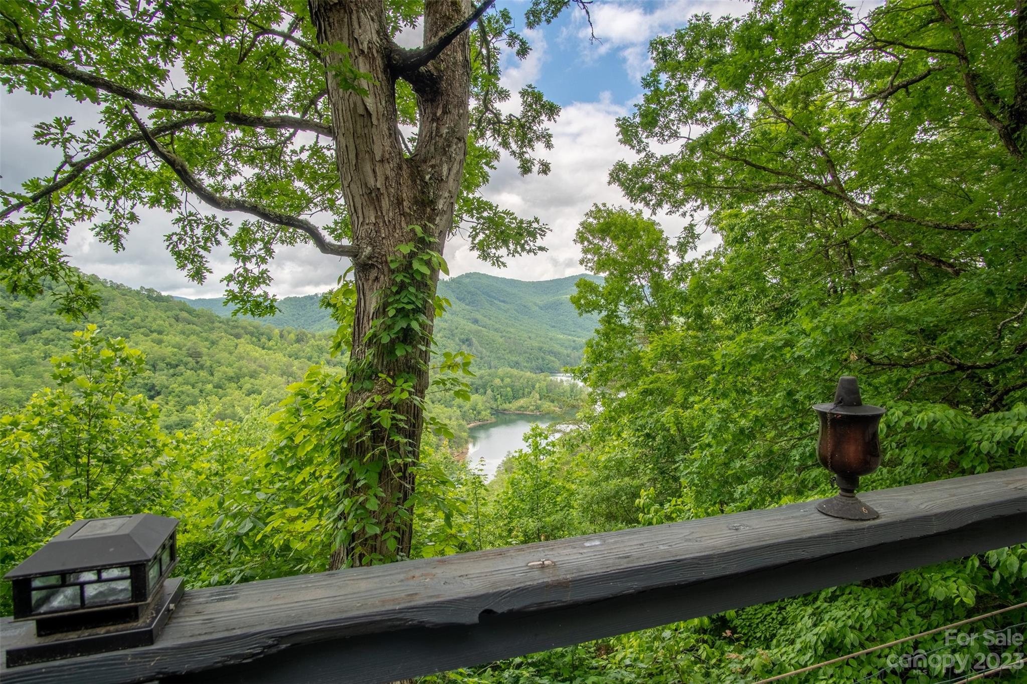21 Turtle Rock Lane Tuckasegee, NC 28783 - Photo 4 of 32 a view of a garden from a balcony
