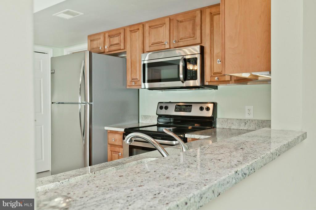 4840 Shookstown Road Middletown, MD 21769 - Photo 5 of 30 Renovated Kitchen