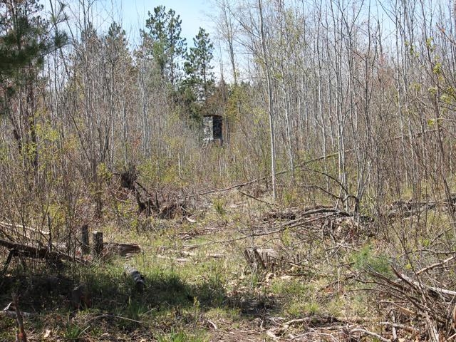 19081 Erickson Drive Dunbar, WI 54119 - Photo 44 of 87