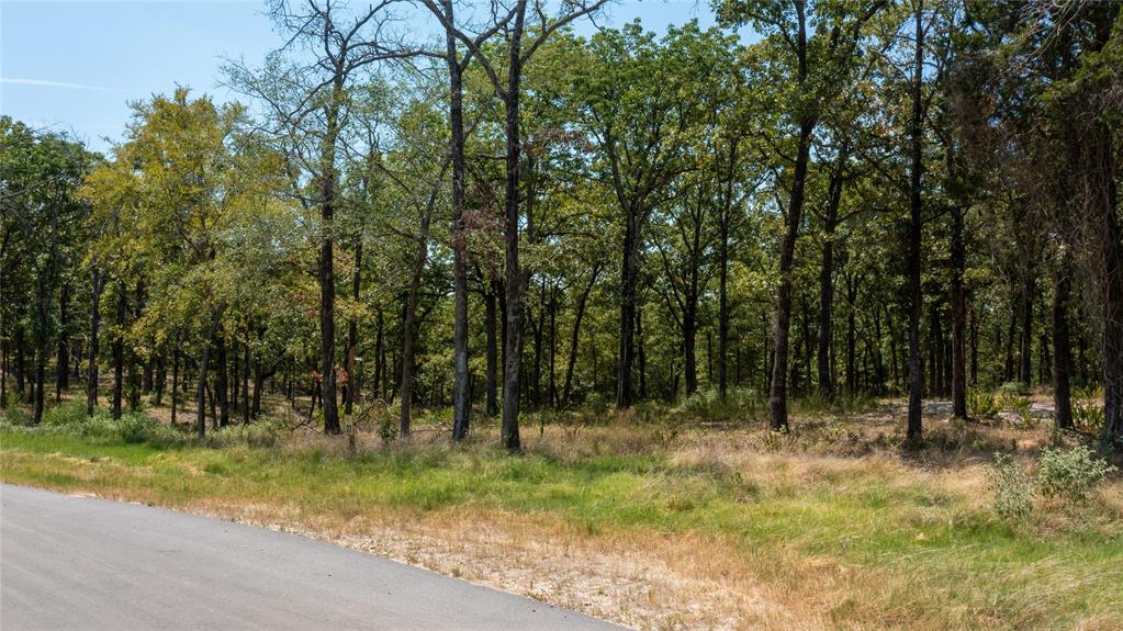 7321 Ranch Oaks Trail Malakoff, TX 75148 - Photo 5 of 21 a view of outdoor space with trees