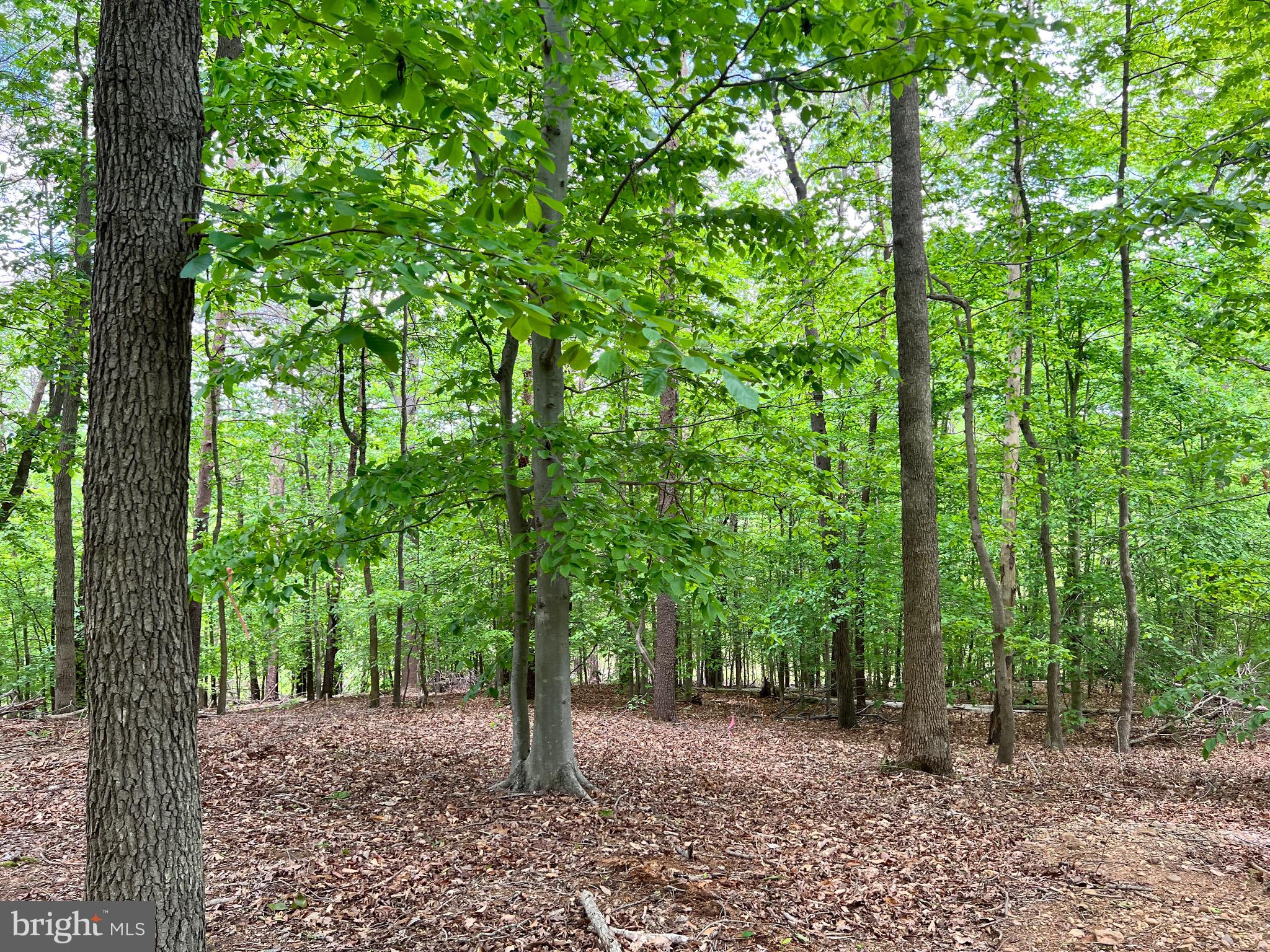 Old Colchester Road Lorton, VA 22079 - Photo 9 of 41 Gallery Image 9