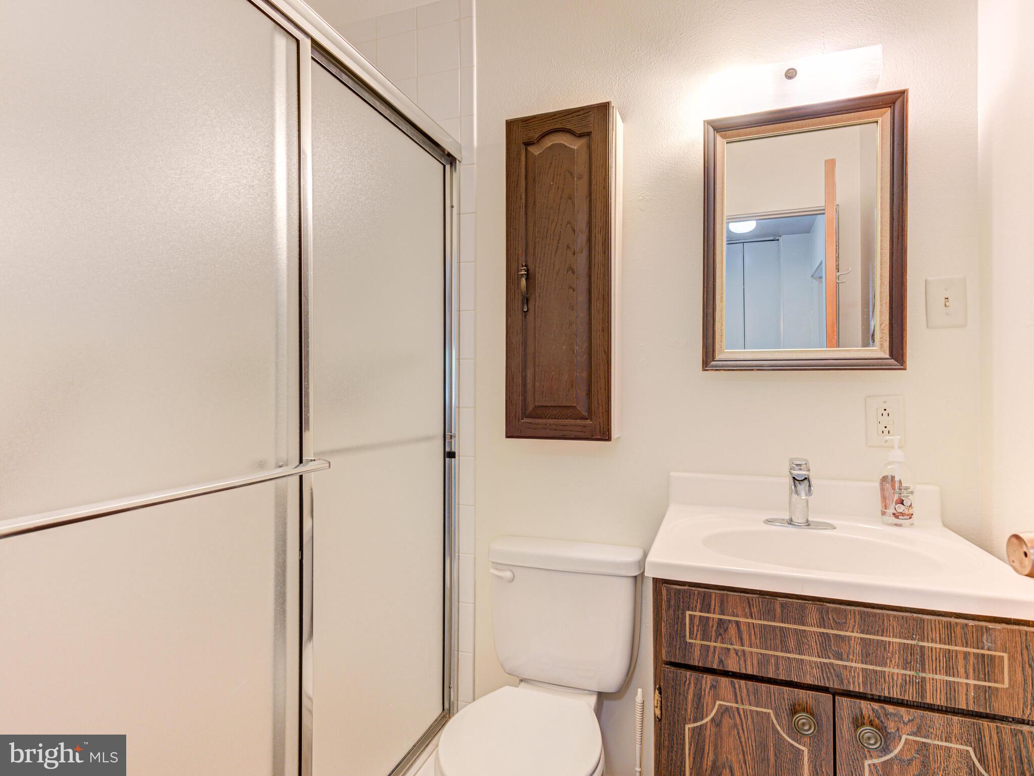 621 West Beech Road Sterling, VA 20164 - Photo 39 of 60 Hall Bath w/sit down shower