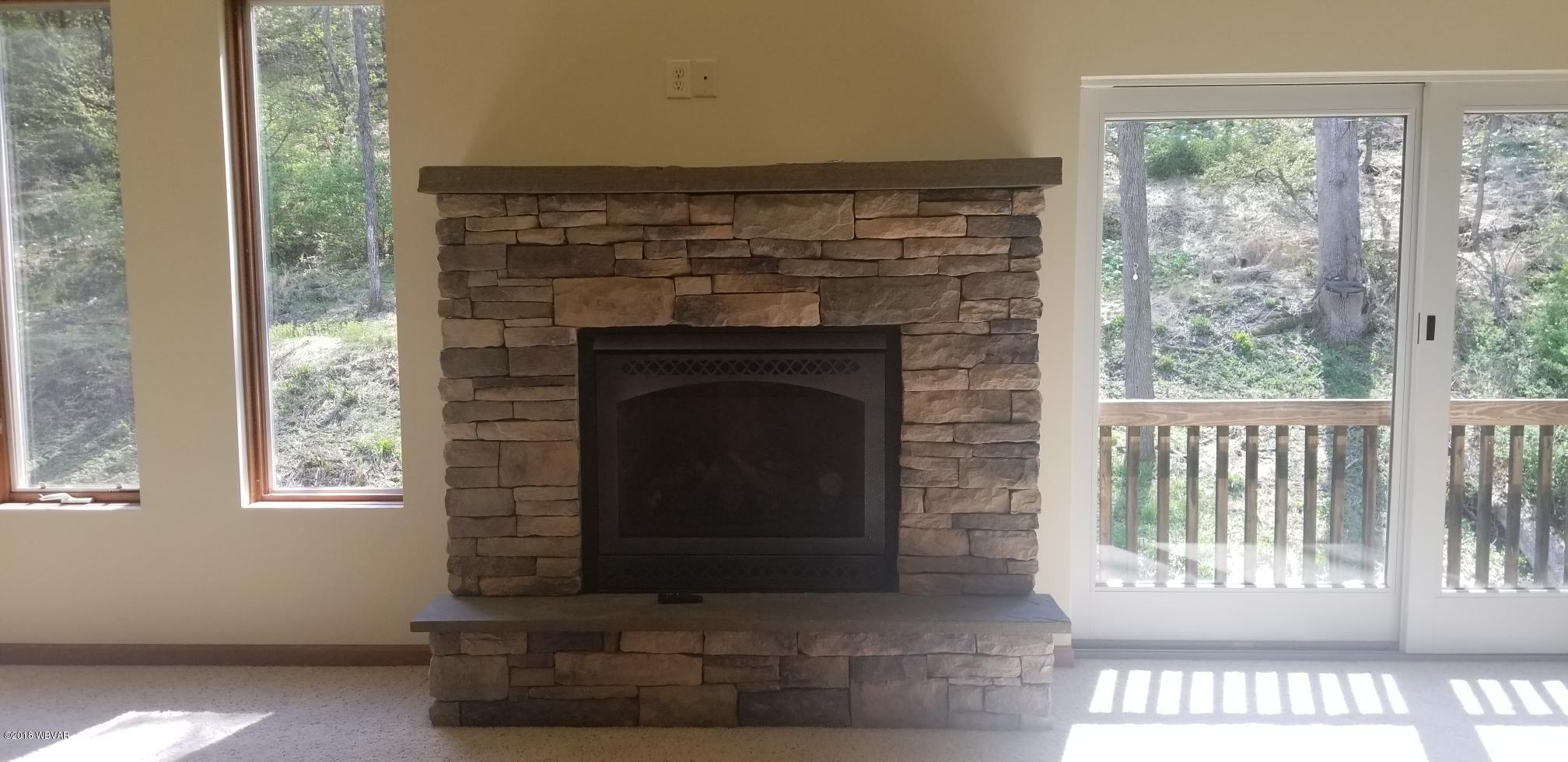 1859 Northway Rd Extension Williamsport, PA 17701 - Photo 26 of 37 Propane Fireplace