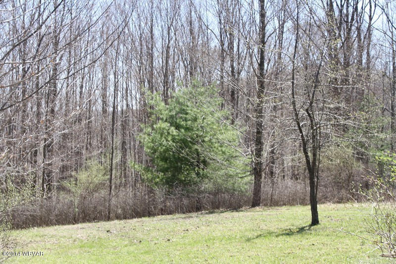 480 Trowbridge Station Road Millerton, PA 16936 - Photo 29 of 77 126390-29