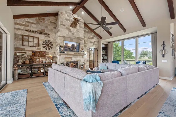 a view of a yard with tree s