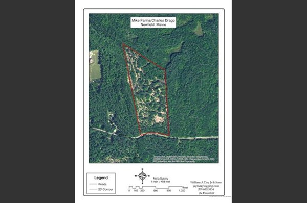 4.11 Wakefield Road West Newfield, ME 04095 - Photo 3 of 3
