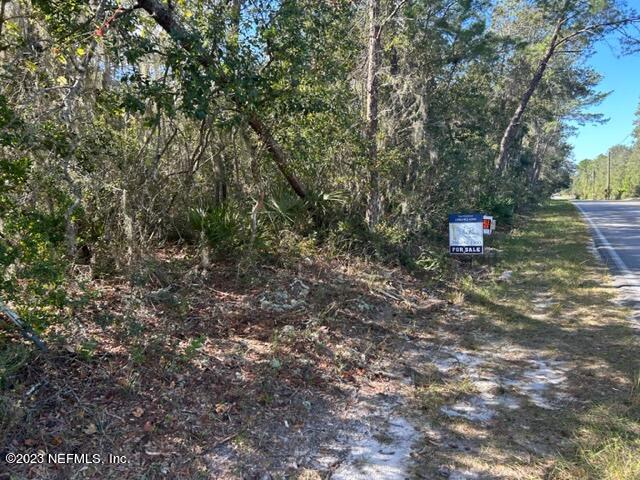 729 Georgetown Denver Road Crescent City, FL 32112 - Photo 2 of 4 a backyard of a house with lots of green space