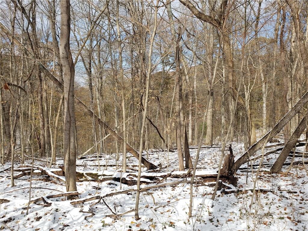 N/a West Burma Road Bloomington, IN 47404 - Photo 2 of 11 Gallery Image 2