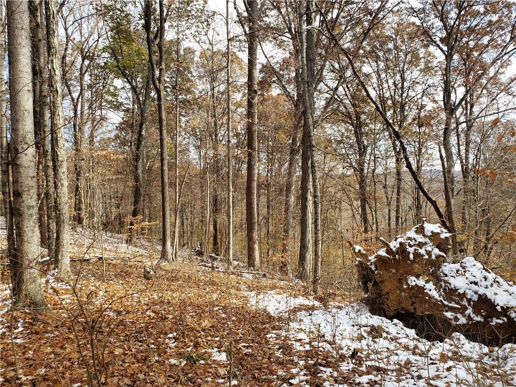 N/a West Burma Road Bloomington, IN 47404 - Photo 7 of 11 Gallery Image 7