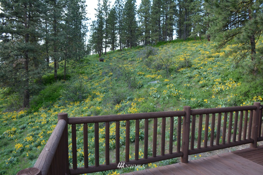 2834 Ley Road Cle Elum, WA 98922 - Photo 21 of 23 Gallery Image 21