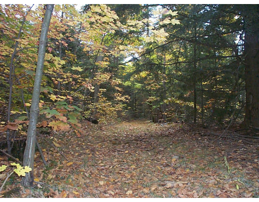 72 Mathews Road Deerfield, MA 01373 - Photo 2 of 6 Gallery Image 2