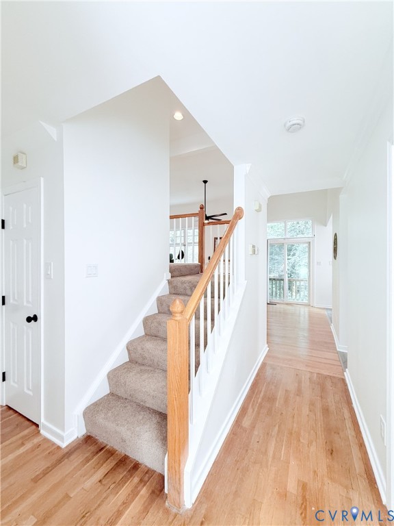 4704 Cedar Cliff Road Chester, VA 23831 - Photo 12 of 27 Gallery Image 12