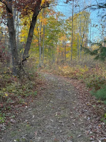 $69,000 | V/l Maple Hill Road, Unit PARCEL B, Howard City, MI 49329