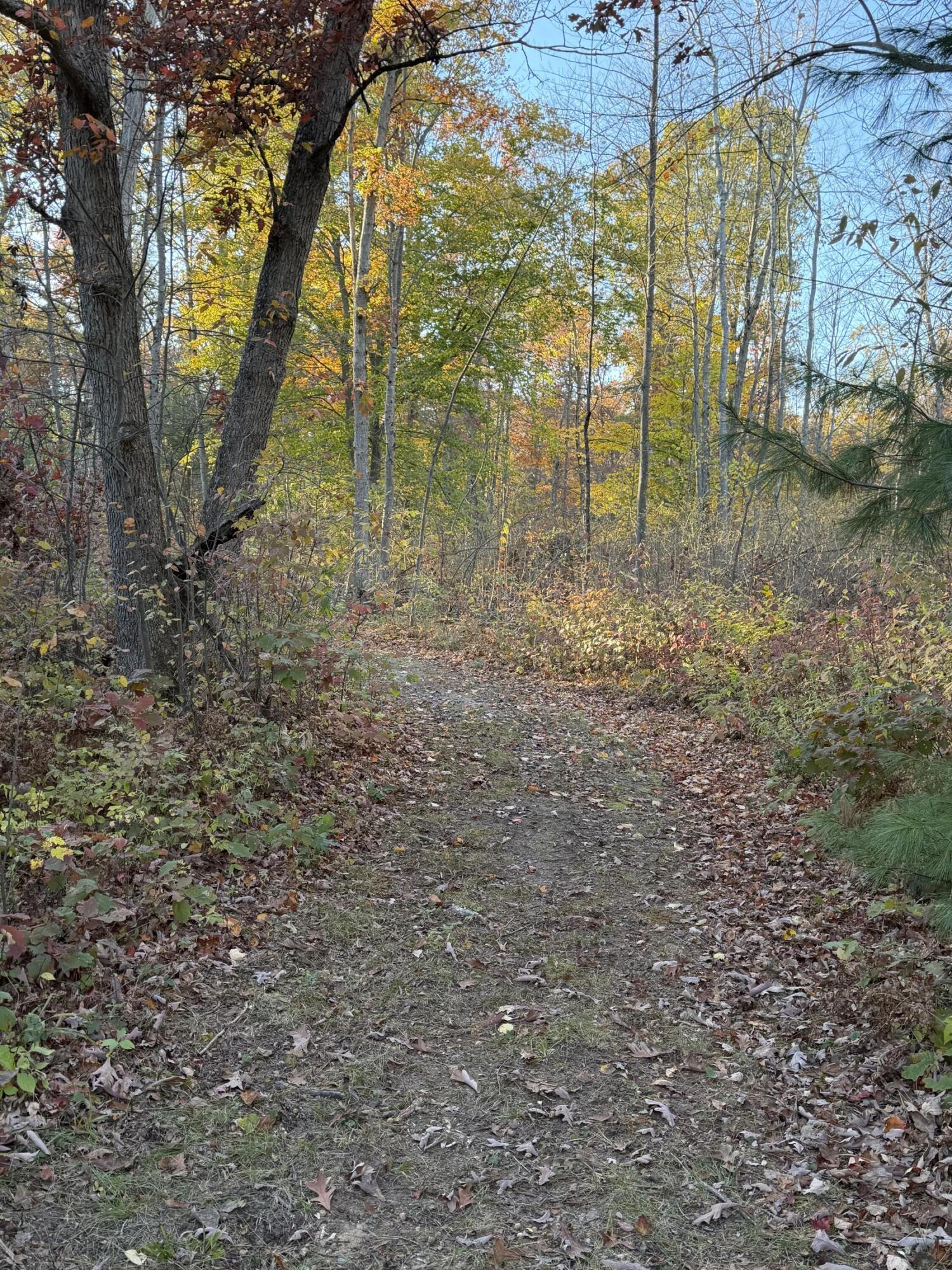 V/l Maple Hill Road, Unit PARCEL B Howard City, MI 49329 - Photo 9 of 11 IMG_0813