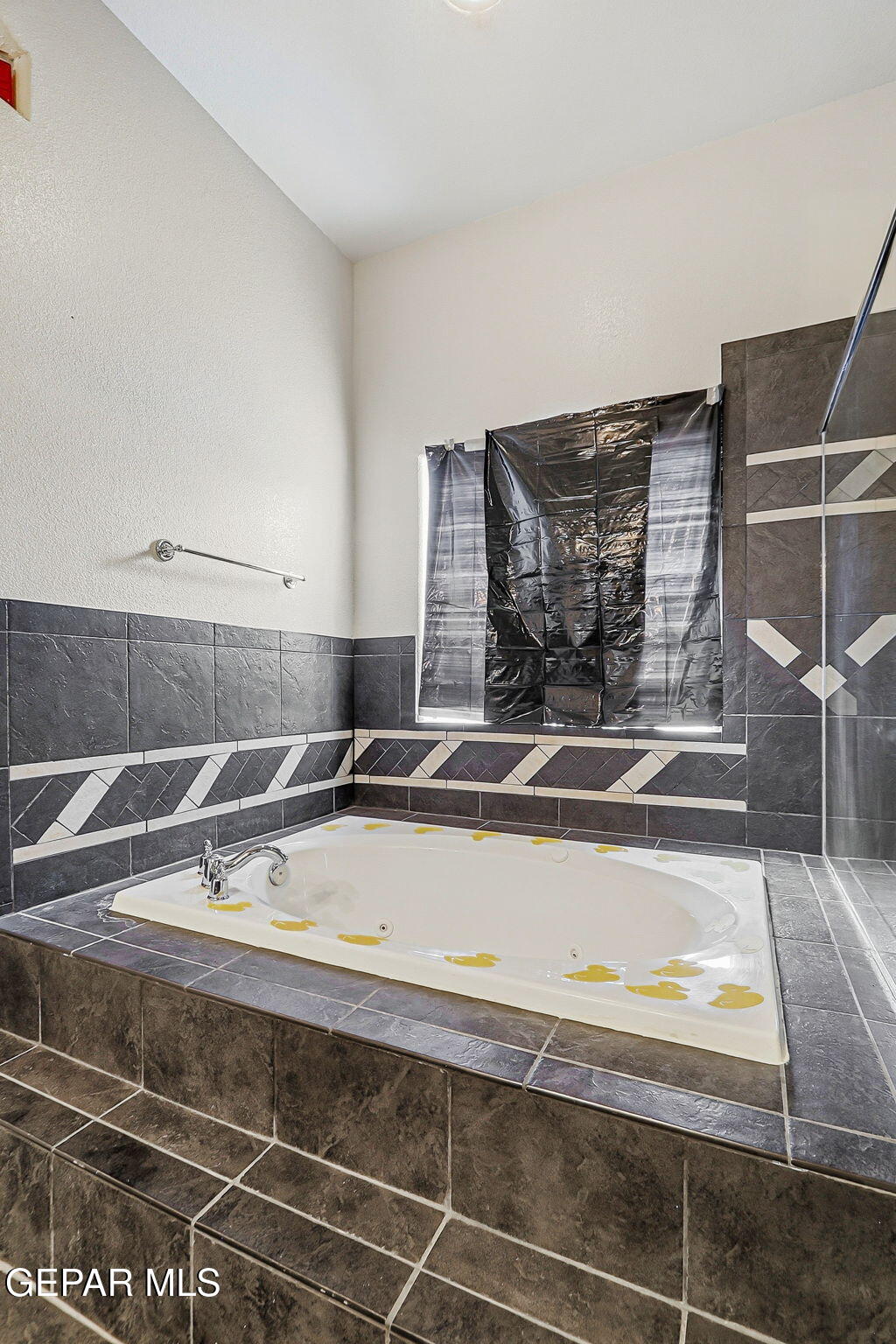 7371 9th Street Canutillo, TX 79835 - Photo 35 of 41 42-web-or-mls-IMG_4979