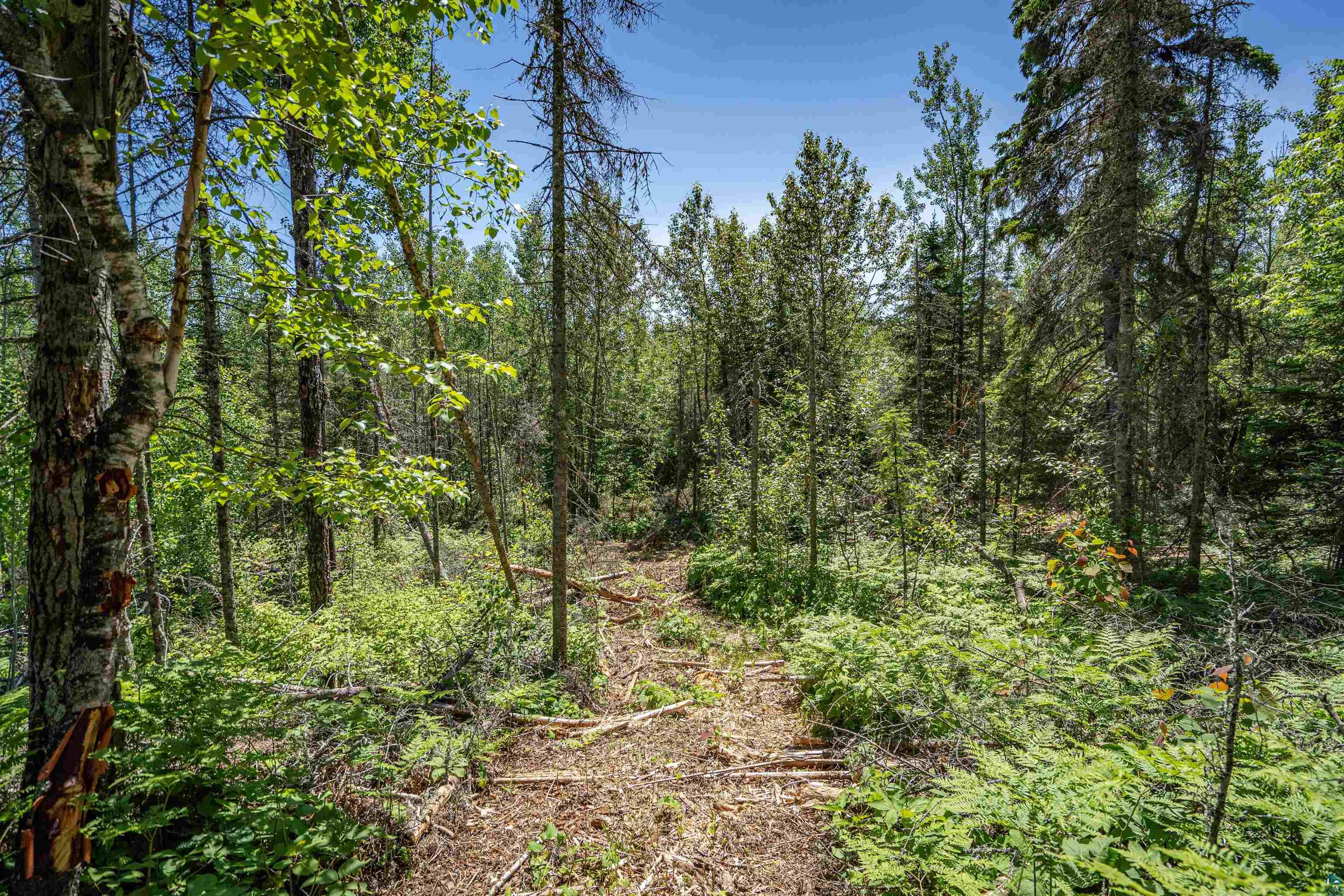 Xxx1 Wildwood Road Duluth, MN 55804 - Photo 22 of 25