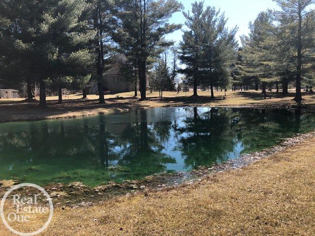 6470 Rattle Run Road St. Clair, MI 48079 - Photo 6 of 88