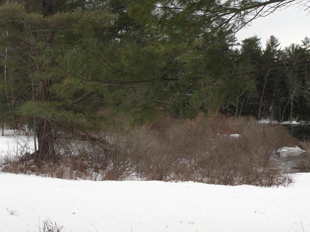 16 Iron Works Road Effingham, NH 03882 - Photo 26 of 30