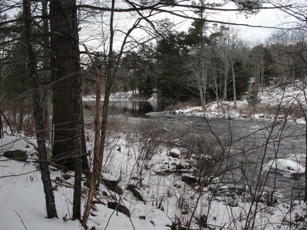 16 Iron Works Road Effingham, NH 03882 - Photo 27 of 30