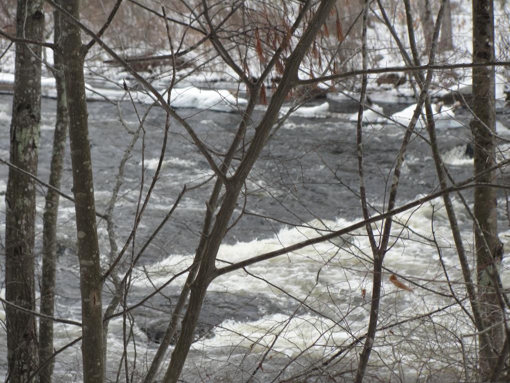 16 Iron Works Road Effingham, NH 03882 - Photo 29 of 30