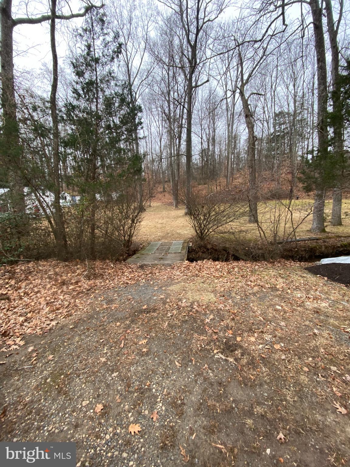 0 Jumping Branch Road Stafford, VA 22554 - Photo 6 of 18 Serene path through a tranquil woodland.