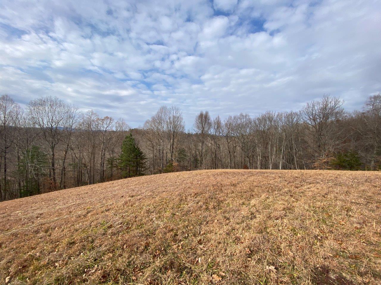 1550 Horseshoe Point Road Henry, VA 24102 - Photo 50 of 54 IMG_5836- AS