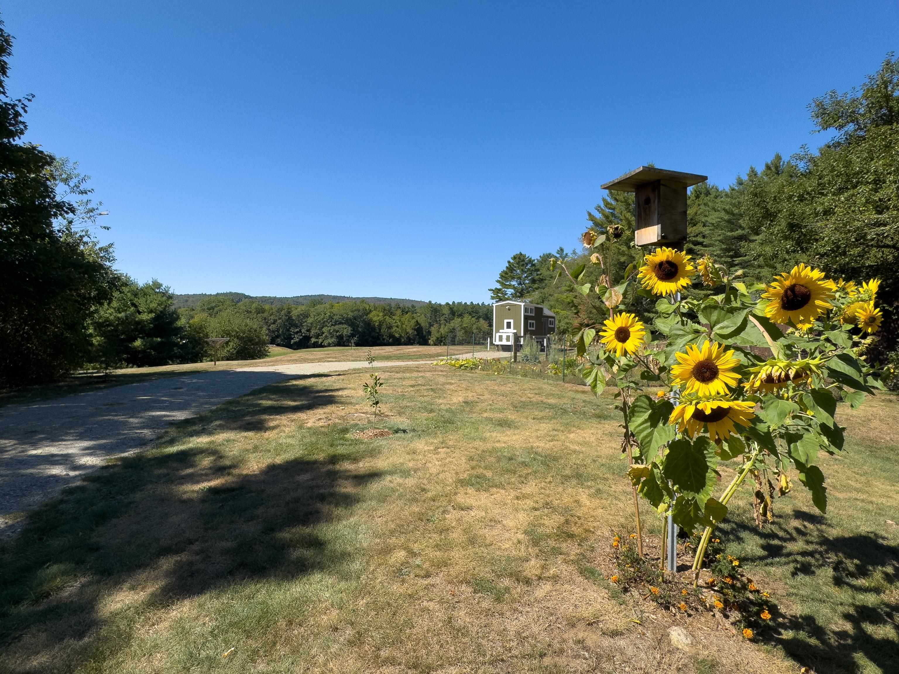 382 Buffalo Road Wentworth, NH 03282 - Photo 1 of 40