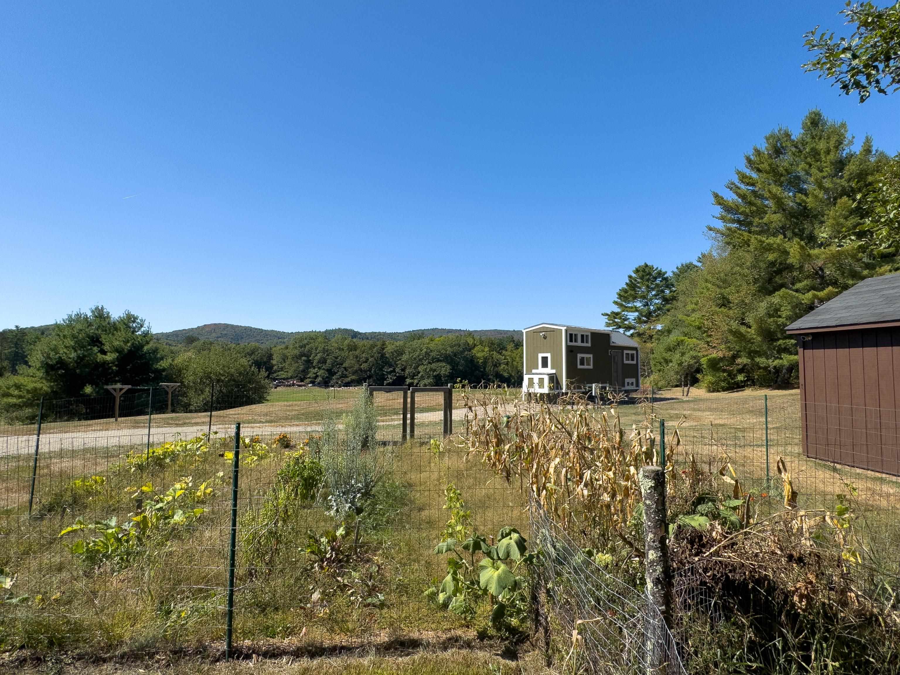 382 Buffalo Road Wentworth, NH 03282 - Photo 32 of 40