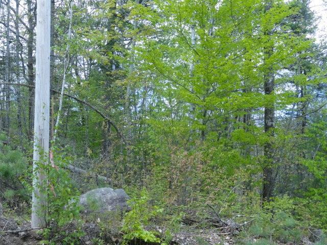 Map 7-lot Map 7-lot Pond Hill Rd Brooks Brooks, ME 04921 - Photo 5 of 15 Pond Hill 1