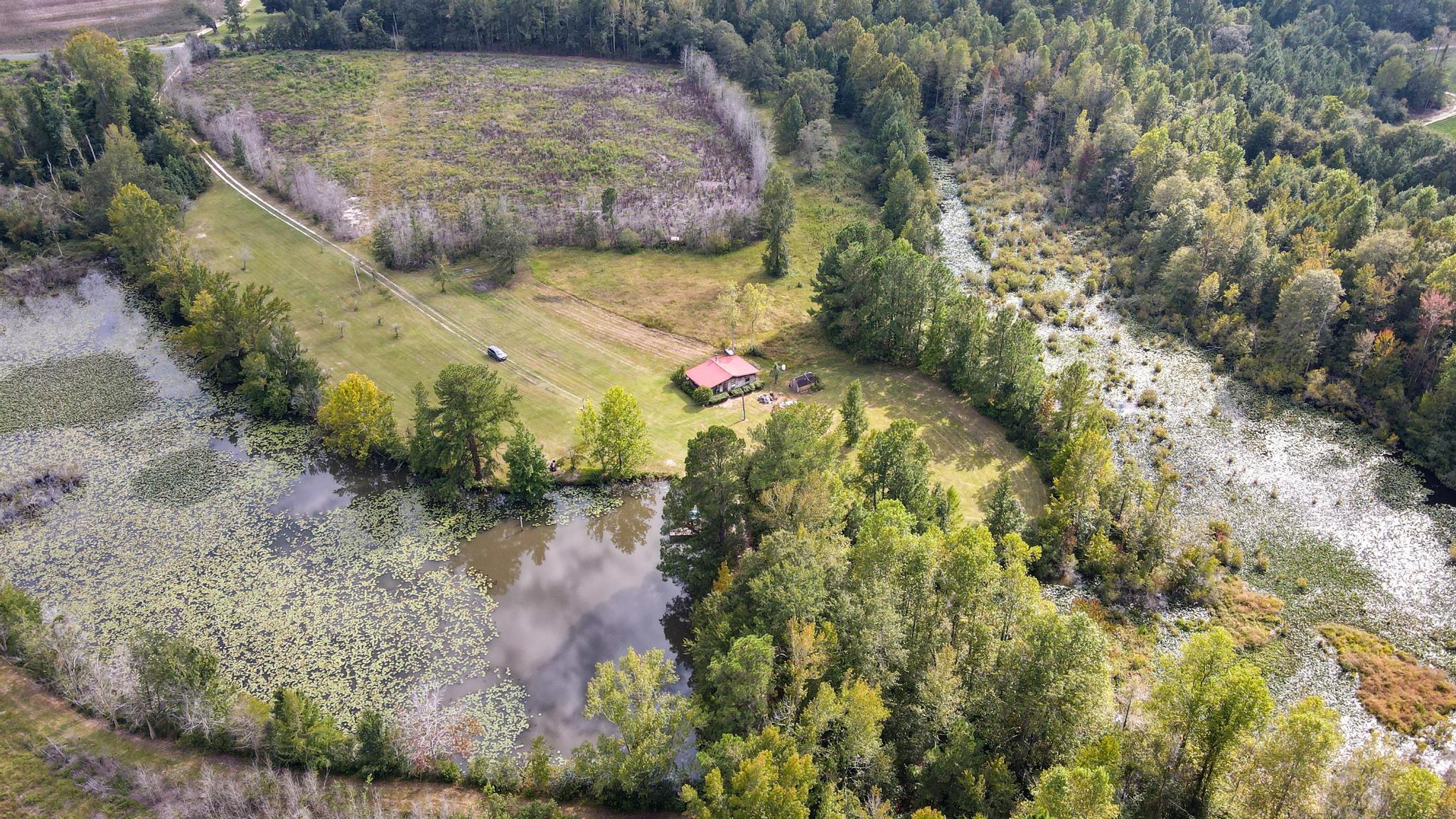 1420 Baltic Road Blackville, SC 29817 - Photo 6 of 22