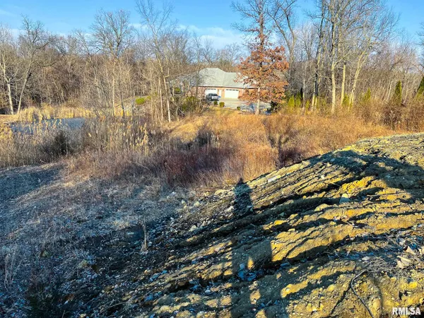 $27,500 | 1216 Winterberry Avenue, Germantown Hills, IL 61548