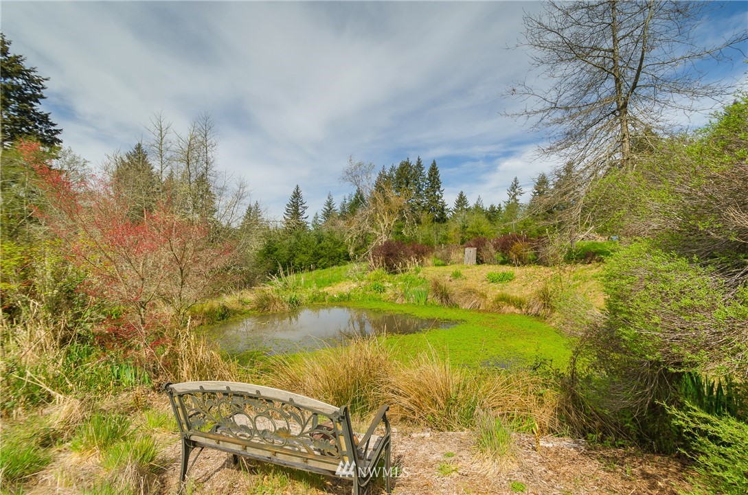 892 Pleasant Valley Road Chehalis, WA 98532 - Photo 3 of 24